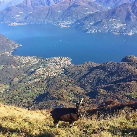 Thari House Como Lake Naggio (Lombardy)